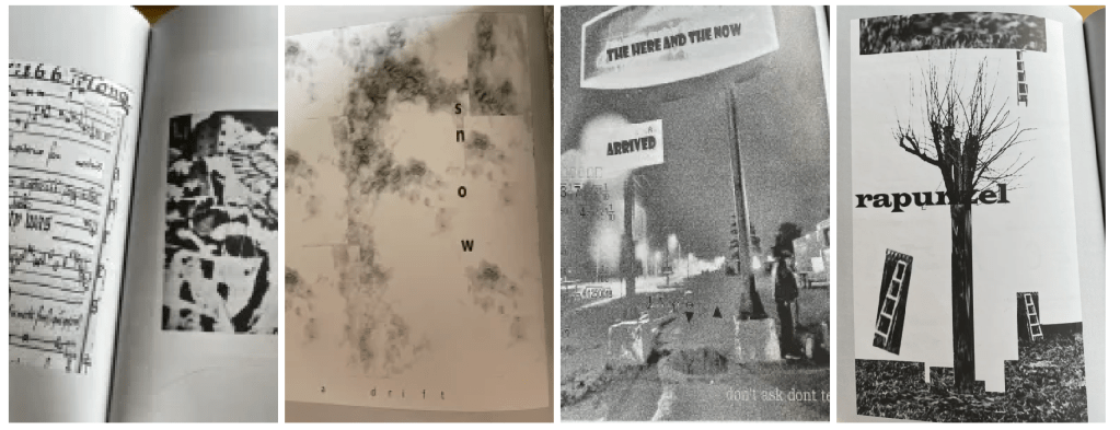 This image has an empty alt attribute; its file name is visuals-from-eden.png